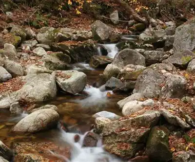 Sentier de randonnée Mt. Osceola Trailhead - paysage naturel