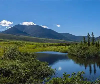 Sentier de randonnée Blackspruce Lake - paysage naturel