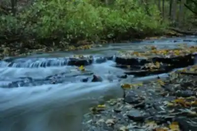 Hiking view of Parc-nature Du Ruisseau-de Montigny