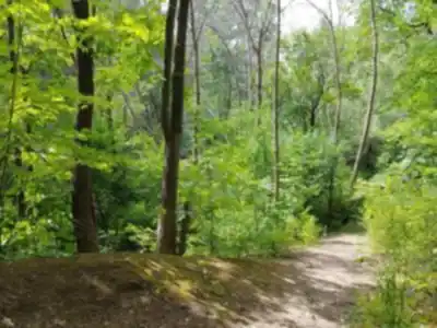 Discover Parc-nature Du Ruisseau-de Montigny in Montréal