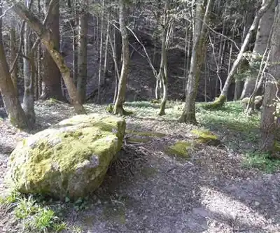 Auberge La Cascade du Nideck hiking trail - natural landscape