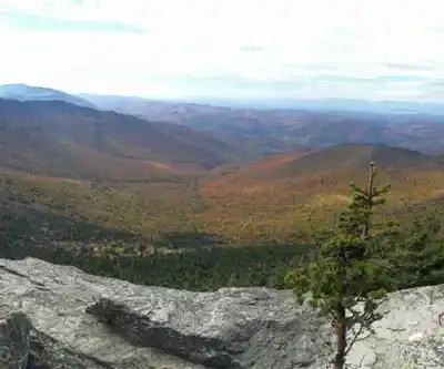 Catamount Trl hiking trail - natural landscape