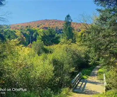 Parc De La Gatineau viewpoint