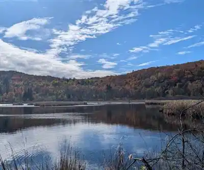 Parc De La Gatineau scenery - hiking