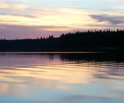 Moose Lake Provincial Park hiking trail - natural landscape