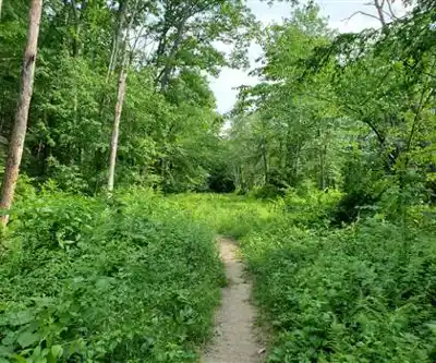 Diamond Hill Park hiking trail - natural landscape