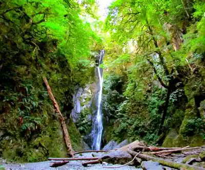 Sentier de randonnée Goldstream Provincial Park - paysage naturel