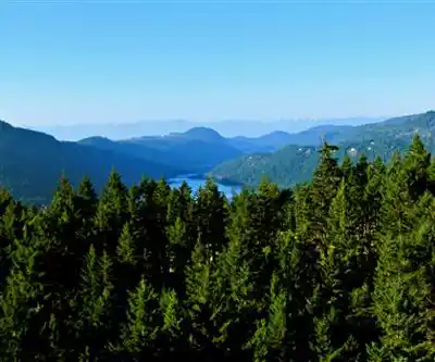 Vue en randonnée de Goldstream Provincial Park