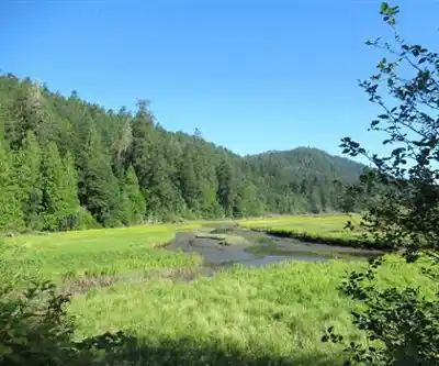 Randonnée vers Goldstream Provincial Park - photo de sentier