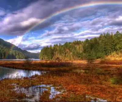 Balade en nature à Goldstream Provincial Park