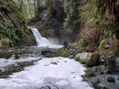Découvrir Goldstream Provincial Park en Île de Vancouver