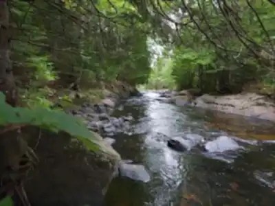 Hiking view of Centre de plein air de l'UQAM