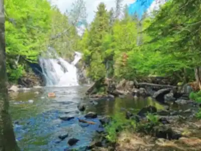 Centre de plein air de l'UQAM hiking trail - natural landscape