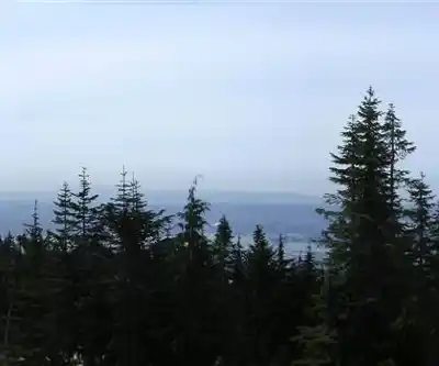 Grouse Grind Trail hiking trail - natural landscape