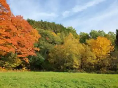 Abbaye Val Notre-Dame hiking trail - natural landscape