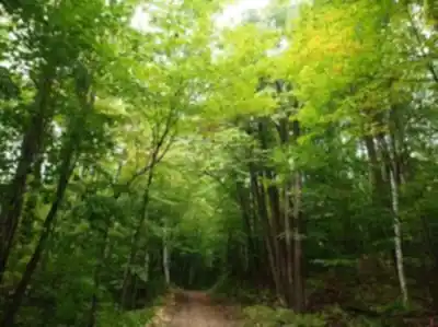 Abbaye Val Notre-Dame hike - nature and outdoors
