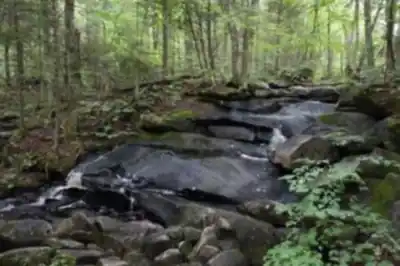 Parc national de Frontenac hike - nature and outdoors