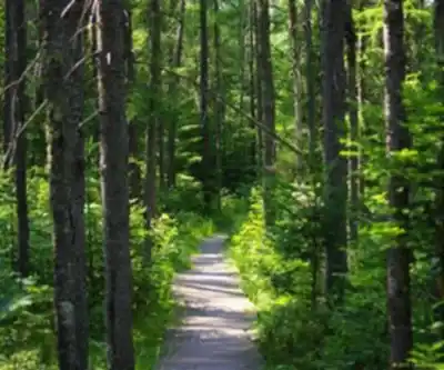 Parc national de Frontenac hiking trail - natural landscape