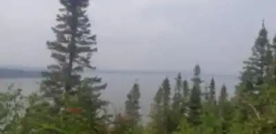 Randonnée Sentiers pédestres Opasatica - nature et plein air