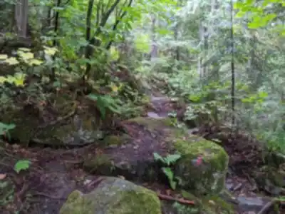 Explorer le sentier Sentiers pédestres Opasatica