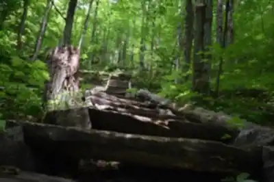 Discover Parc régional du Mont Ham in Eastern Townships