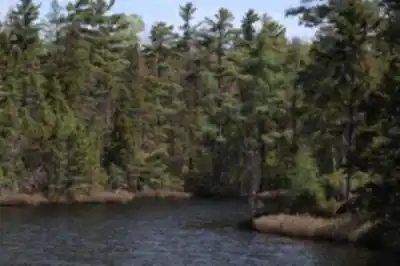 Explore Parc Écoforestier De Johnville trail