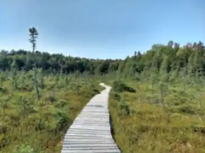 Parc Écoforestier De Johnville hiking trail - natural landscape