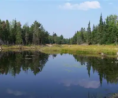 Point Grondine Park hiking trail - natural landscape