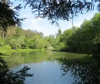 Jewel Lake hiking trail - natural landscape