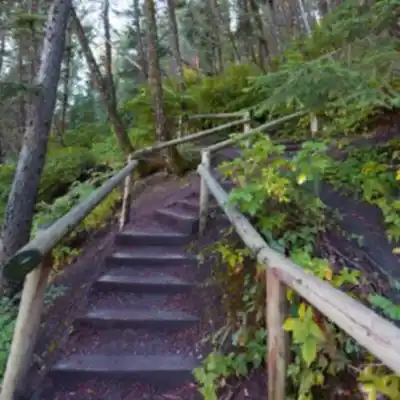 Edworthy Park hiking trail - natural landscape
