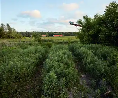 Explore Base De Plein Air Des Cèdres trail