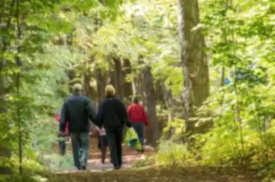 Randonnée L'escapade - Les Sentiers Du Mont Rigaud - nature et plein air