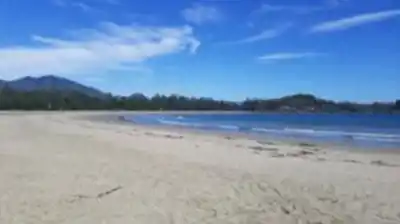Sentier de randonnée Chesterman Beach - paysage naturel