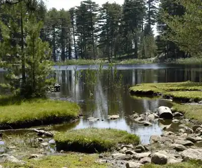 Corsica Natural Regional Park hiking trail - natural landscape