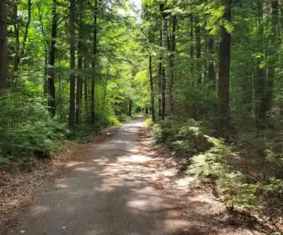 Parc Du Domaine Vert scenery - hiking