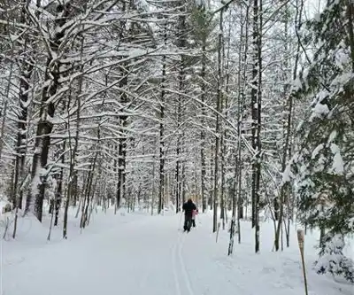 On the trails of Parc Du Domaine Vert