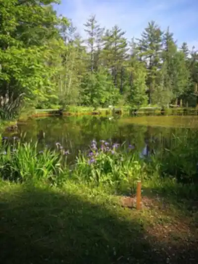 Hiking view of Parc Du Domaine Vert