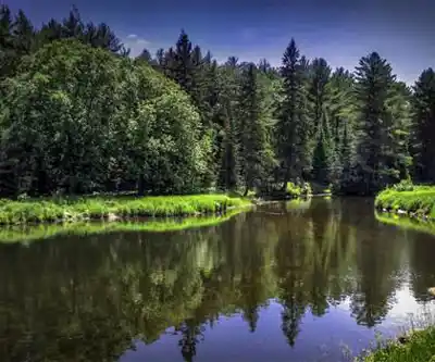 Discover Kawartha Highlands Provincial Park in Kawarthas Northumberland