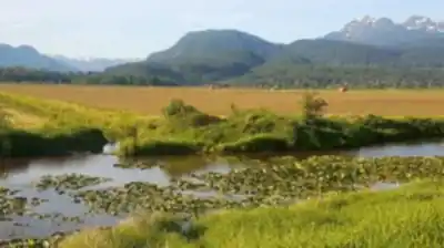 Découvrir Pitt Meadows en Montagnes Côtières de Vancouver