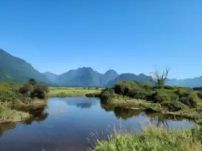 Sentier de randonnée Pitt Meadows - paysage naturel