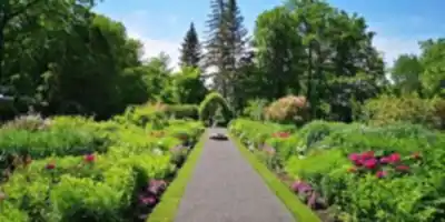 Sentier de randonnée Domaine Joly-De Lotbinière - paysage naturel