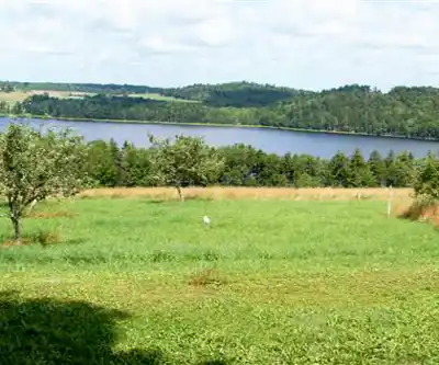 Sentier de randonnée Pine Grove Outdoor Play Park - paysage naturel