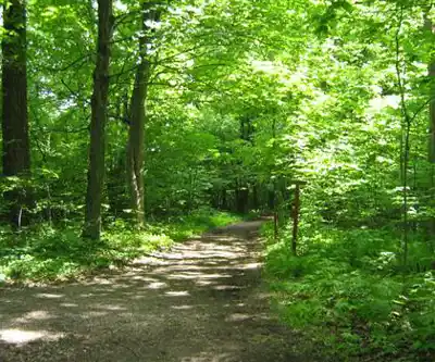 Parc national du Mont Saint Bruno : Une évasion naturelle de Montréal