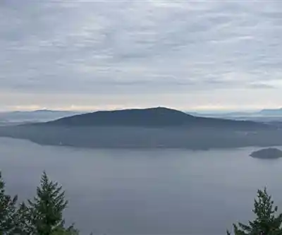 Dean Park hiking trail - natural landscape