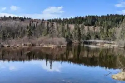 Découvrir Les Marais Du Nord en Région de Québec