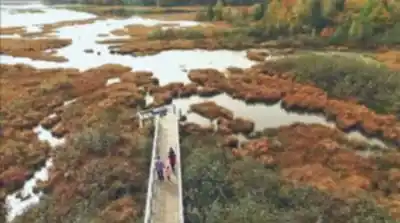 Sentier de randonnée Les Marais Du Nord - paysage naturel