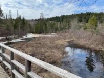 Randonnée Les Marais Du Nord - nature et plein air