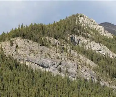 Sentier de randonnée Mount Glasgow - paysage naturel