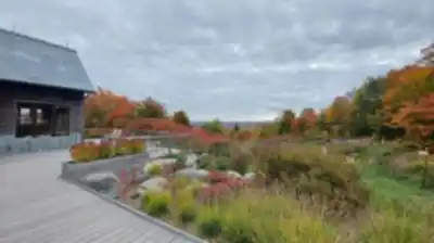 Vue en randonnée de Parc Du Mont Arthabaska
