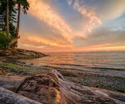 Cliff Gilker Park hiking trail - natural landscape